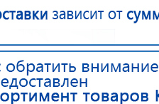 ЧЭНС-01-Скэнар-М купить в Петропавловске-камчатском, Аппараты Скэнар купить в Петропавловске-камчатском, Медицинская техника - denasosteo.ru